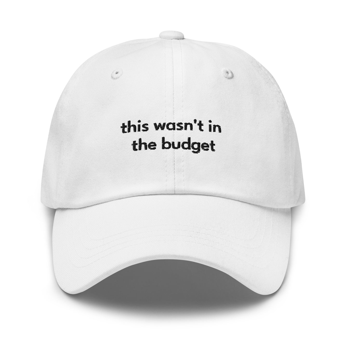 "This Wasn't In the Budget" Hat