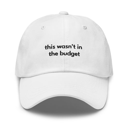 "This Wasn't In the Budget" Hat