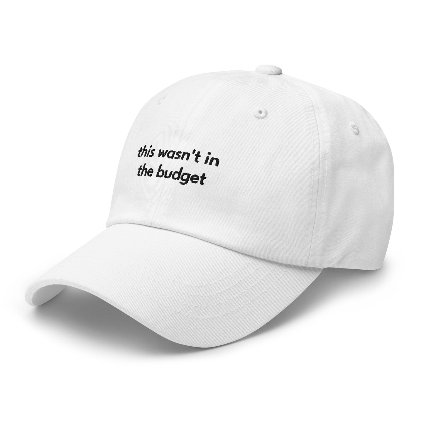 "This Wasn't In the Budget" Hat